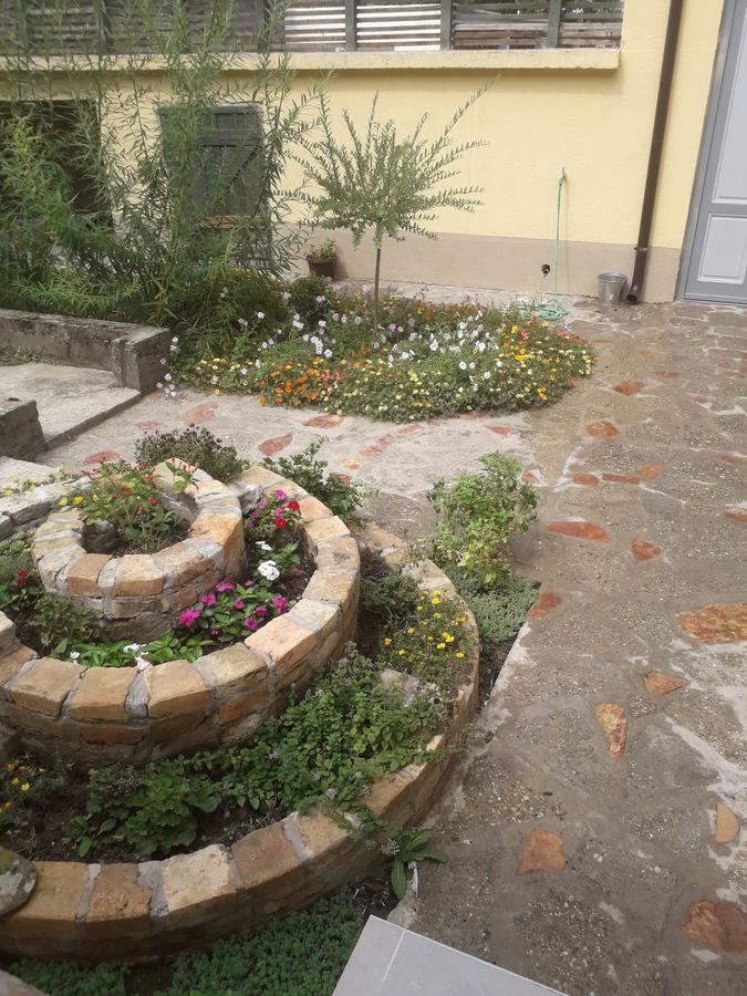 Apartament Mosaique Casa Belgrad Zewnętrze zdjęcie