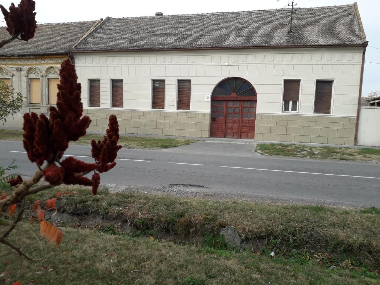 Apartament Mosaique Casa Belgrad Zewnętrze zdjęcie